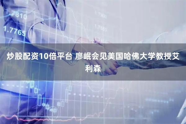 炒股配资10倍平台 廖岷会见美国哈佛大学教授艾利森