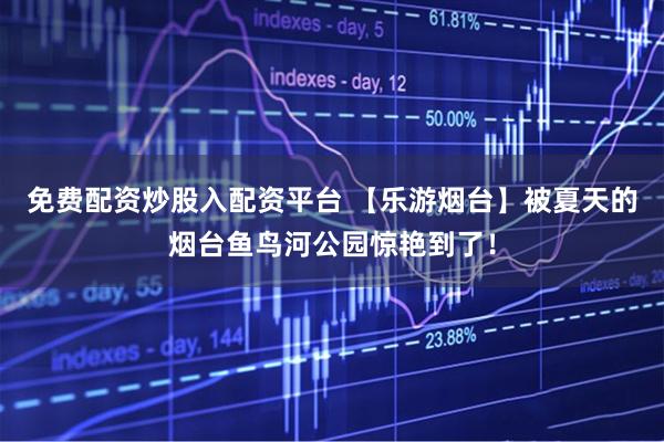 免费配资炒股入配资平台 【乐游烟台】被夏天的烟台鱼鸟河公园惊艳到了！